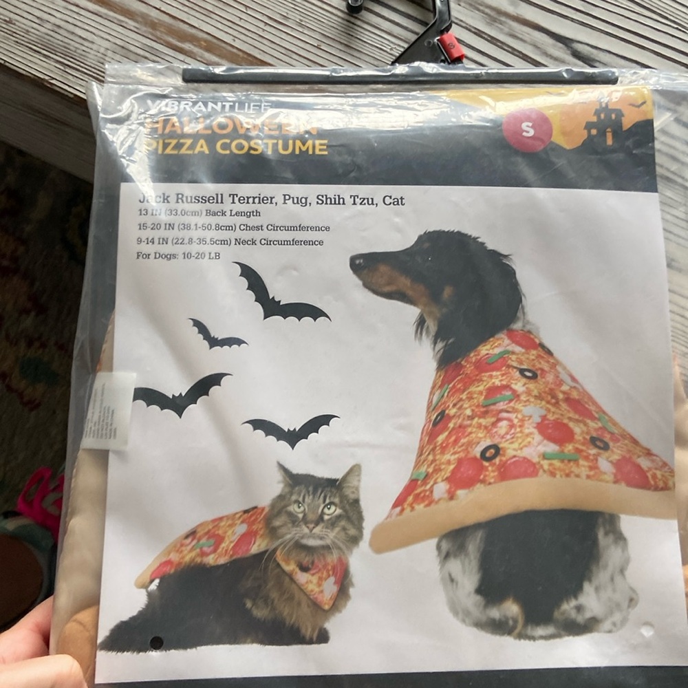 Halloween costume for pets- pizza
